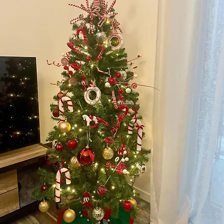 Bed & Breakfast Interno 7 3*